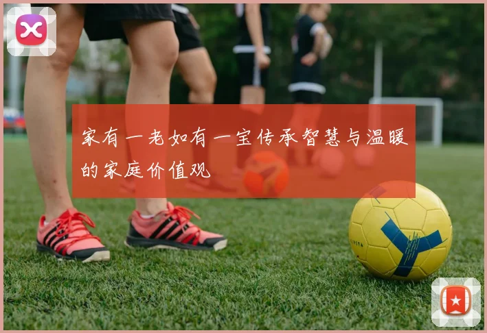 家有一老如有一宝传承智慧与温暖的家庭价值观
