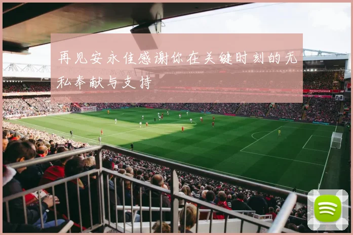 再见安永佳感谢你在关键时刻的无私奉献与支持